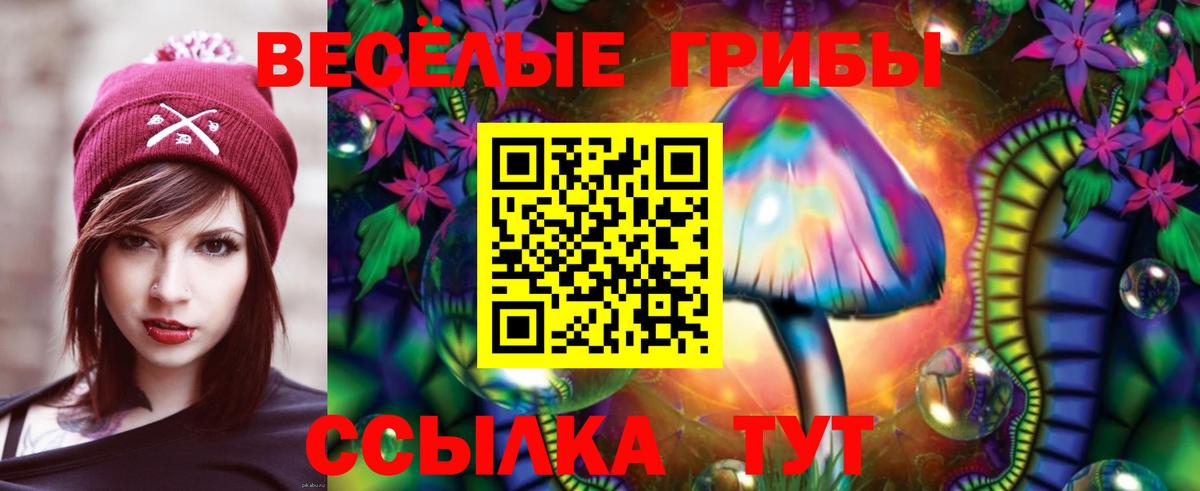 Псилоцибиновые грибы Cubensis Южноуральск