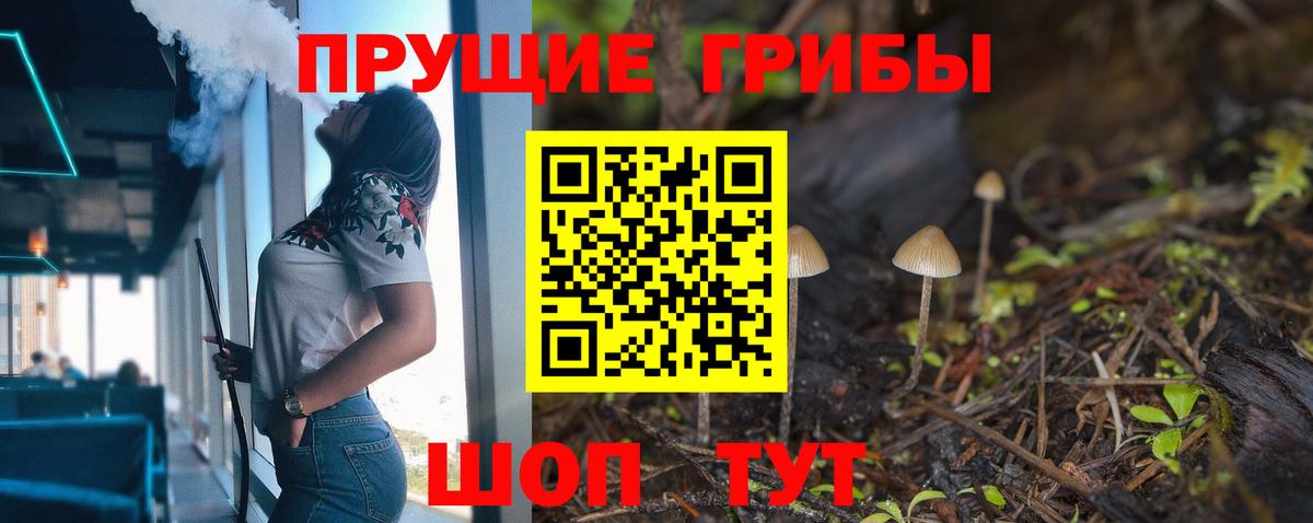 Псилоцибиновые грибы прущие грибы  Вход с VPN  Южноуральск 
